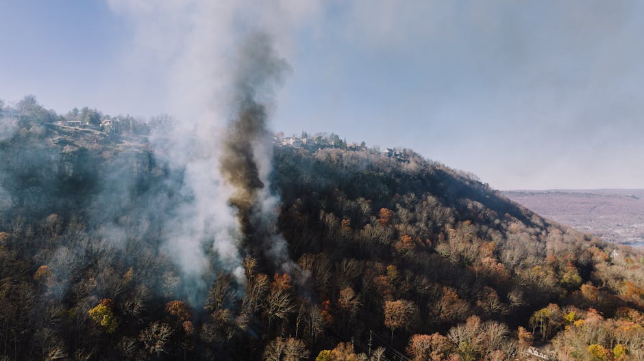 AI Wildfire Detection Colorado Springs