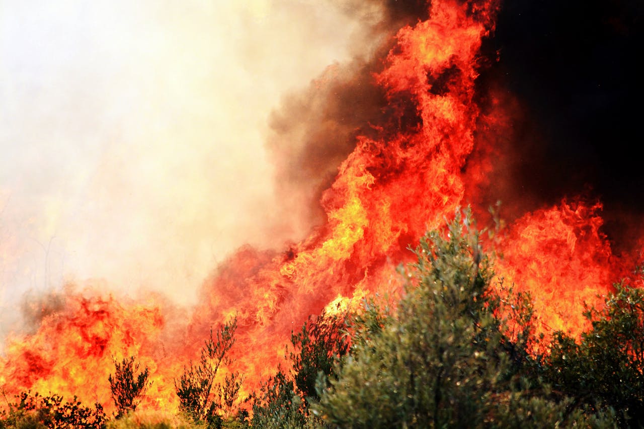 Intense wildfire flames and smoke