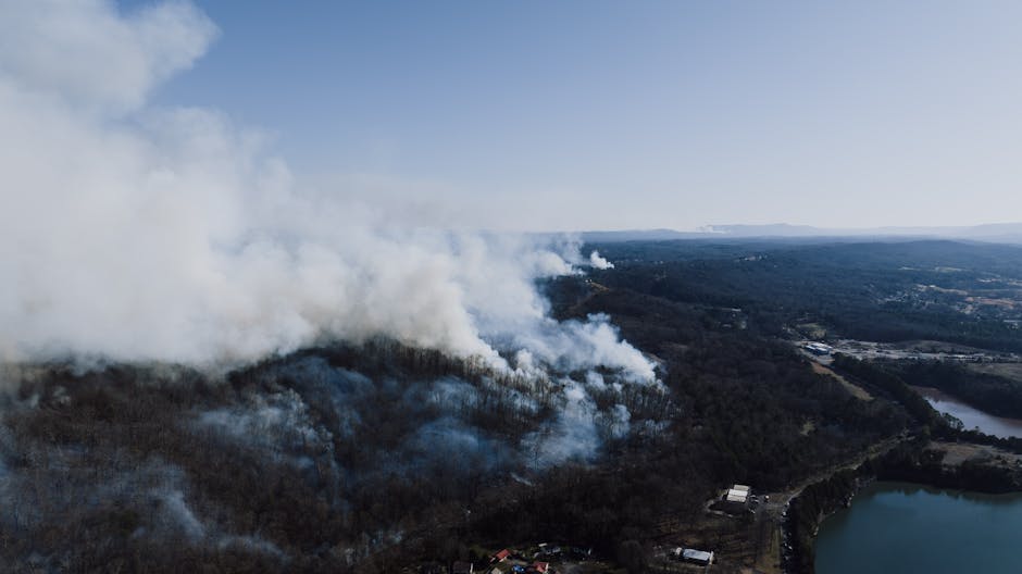 Aerial view of wildfire smoke plume over forested landscape