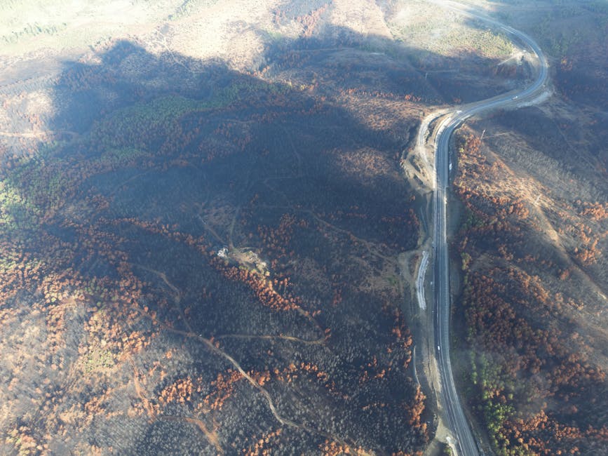 Aerial view of wildfire-scorched hillside terrain with winding road